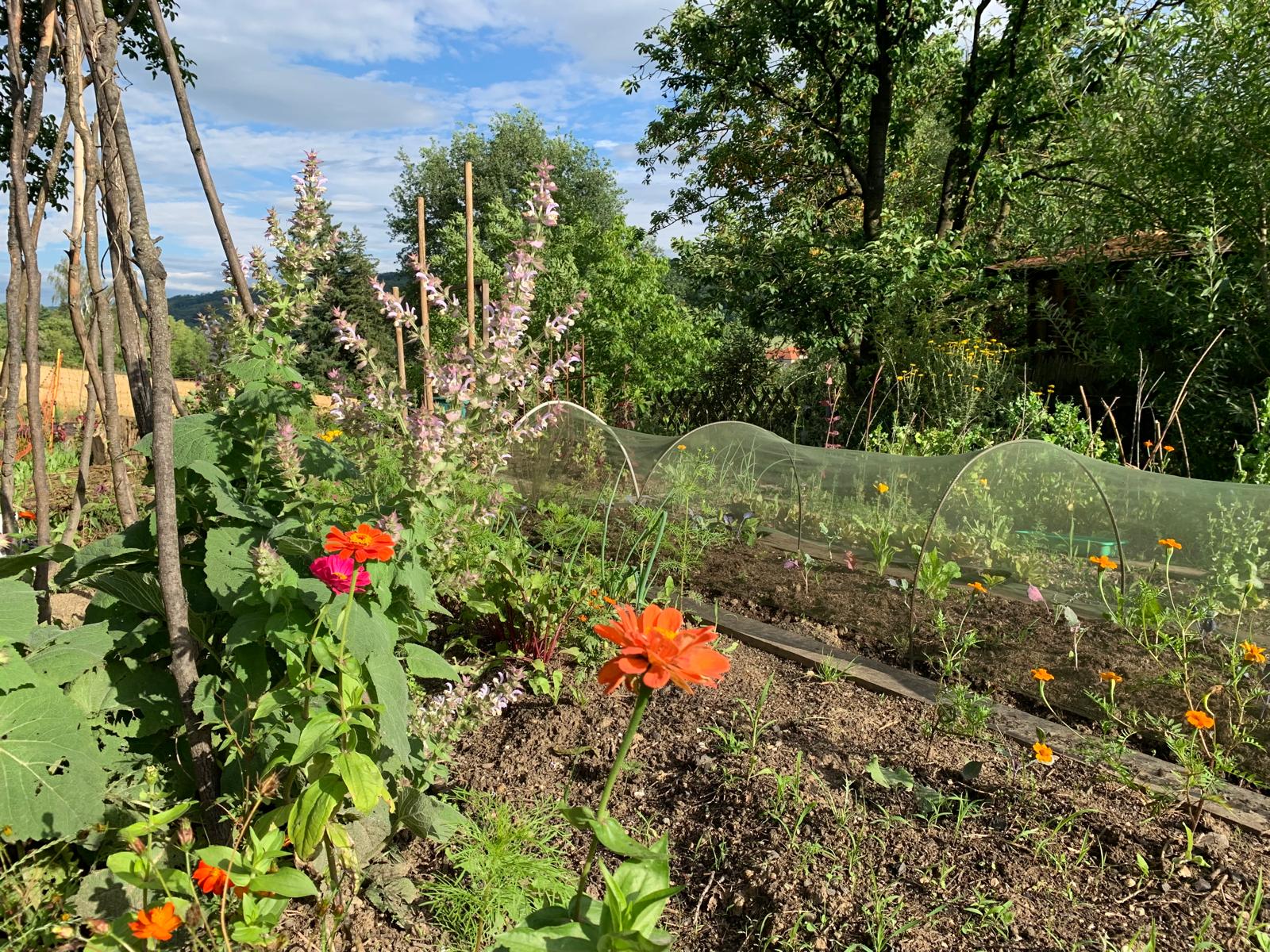 Garten 9 – Benjeshecke
